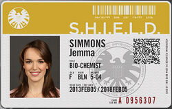 Marvel Shield Id Card